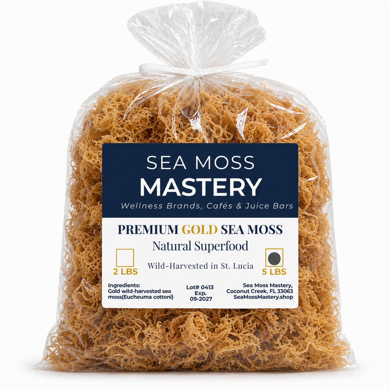 Wild Harvested Gold Sea Moss 5lb