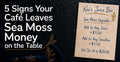 Sea Moss Wins Your Café Is Missing