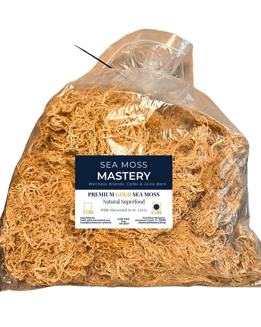 Gold Sea Moss 5lb, Wild Harvested