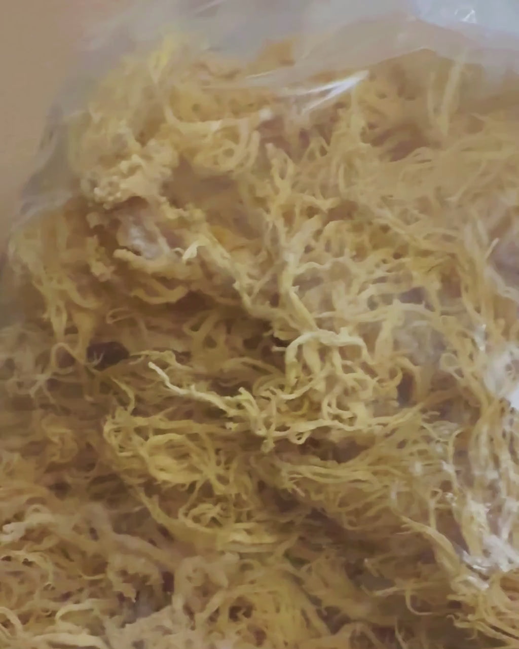 Gold sea moss